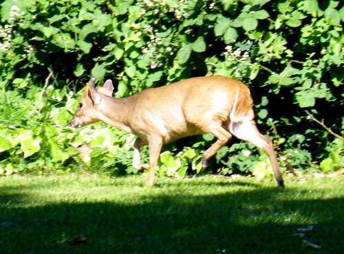 In the School grounds