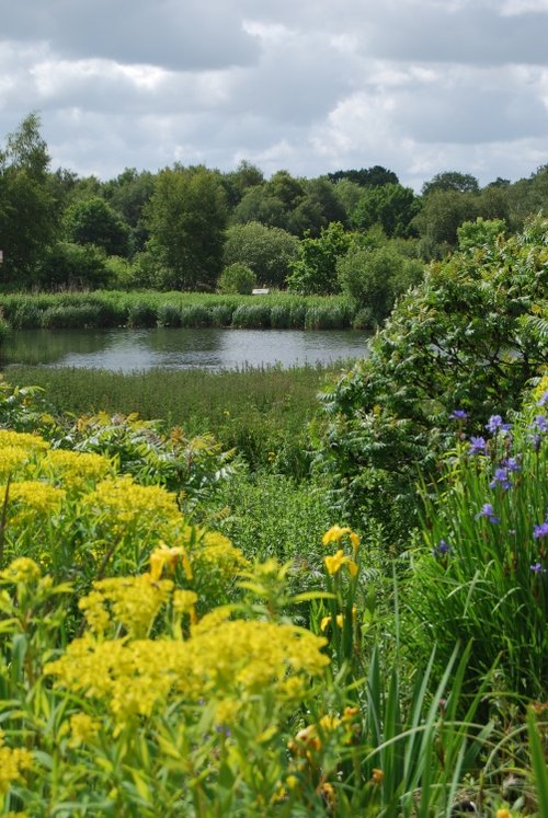 Pensthorpe