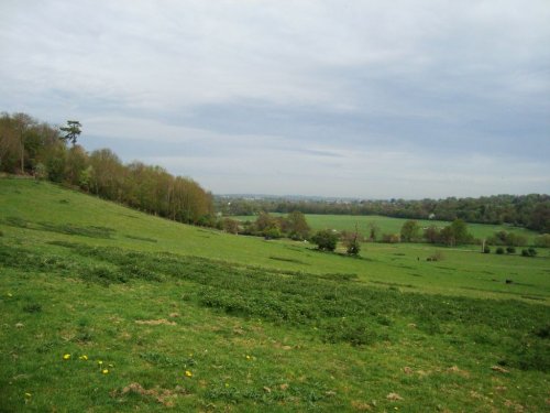 Surrey