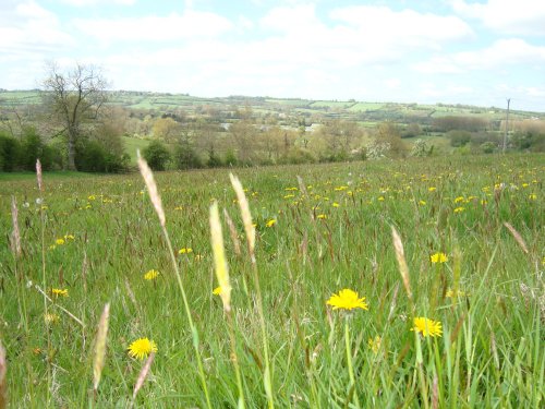 Fields outside Bourton on the water