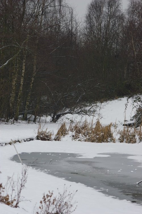 Frozen Canal