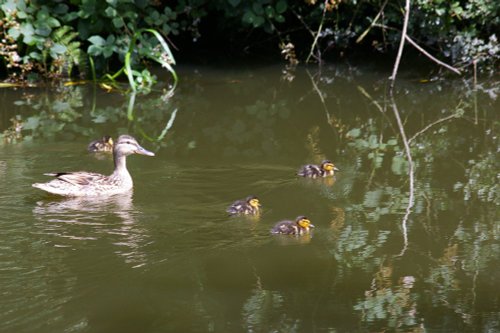 Family outing