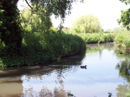 Gladstone Park