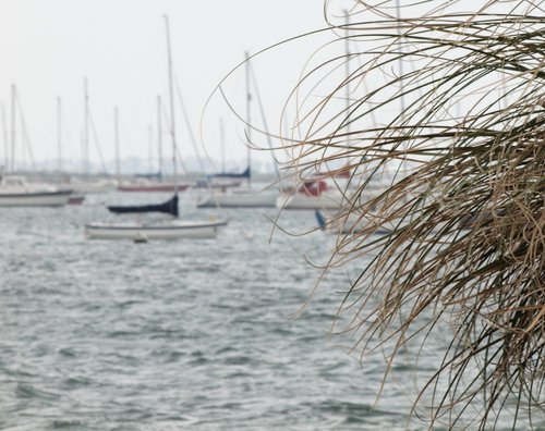 The harbour at Emsworth, Hampshire.