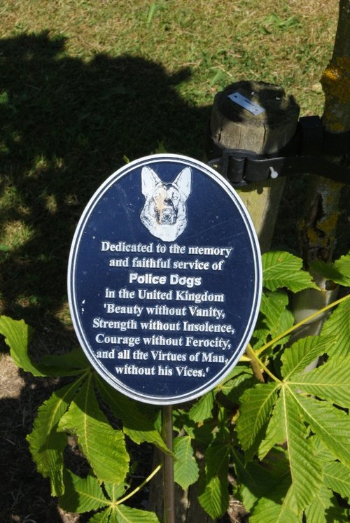 A picture of The National Memorial Arboretum