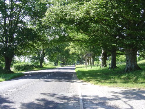 Badbury Rings