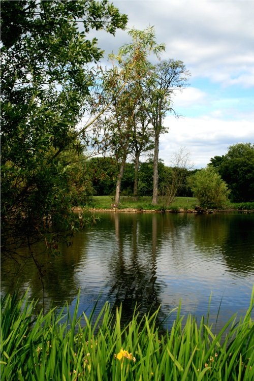 Summer on the Lake at Nidd.