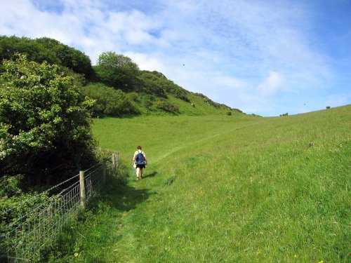 Torrs Walk