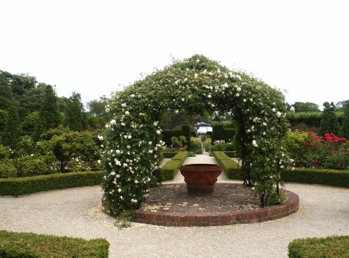 Scene in the walled garden.