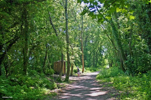 Stour Valley Summer