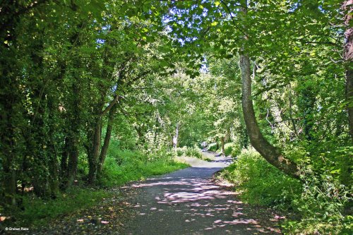 Stour Valley Summer