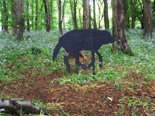 Blue Bell Wood (Coed Cefn) Crickhowell