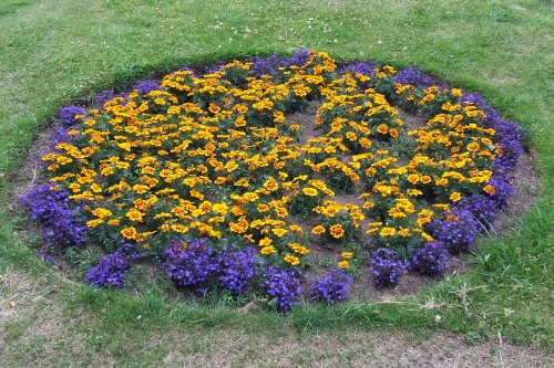 Abergavenny Bailey Park