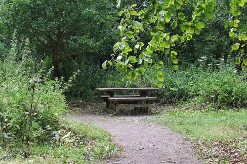 Llangattock Beechwood