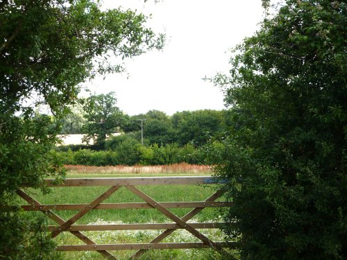 View near the Hall