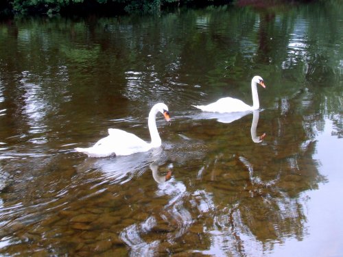 River Usk Crickhowell