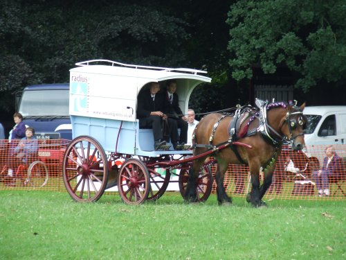 Abergavenny Shire Horse Show