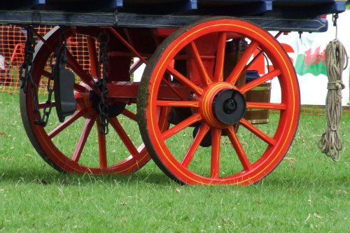 Abergavenny Shire Horse Show