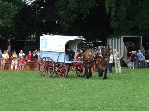 Abergavenny Shire Horse Show