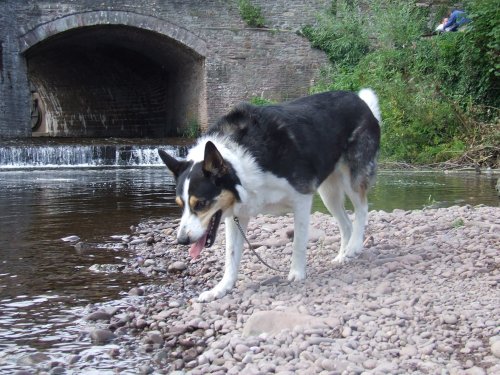 Crickhowell Bridge