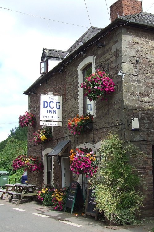 The Dog Inn Ewyas Harold