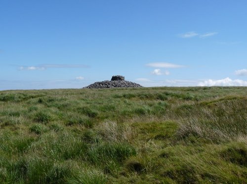 Eastern White Barrow