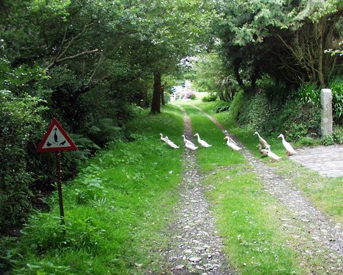 Don't underestimate a traffic sign