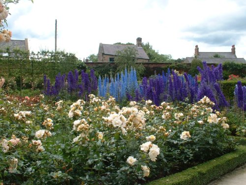 Rose Garden, Alnwick Gardens  5 July 2007