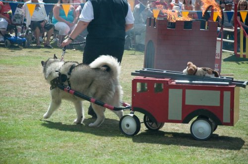 Doggy Fire Service