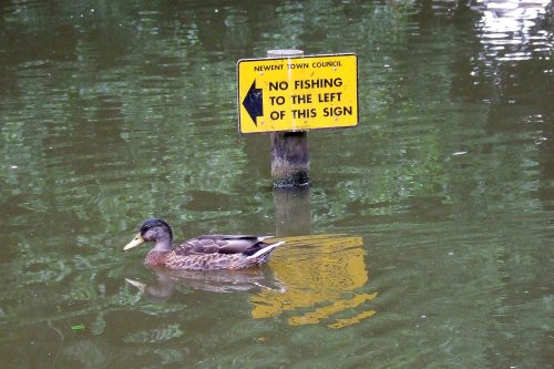 Newent lake and park