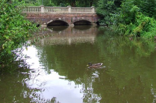 Newent lake and park