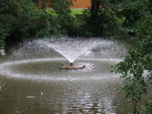 Newent lake and park