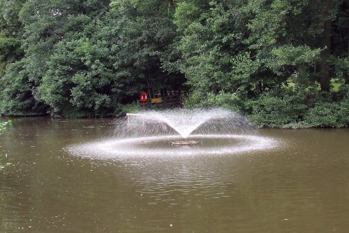 Newent lake and park