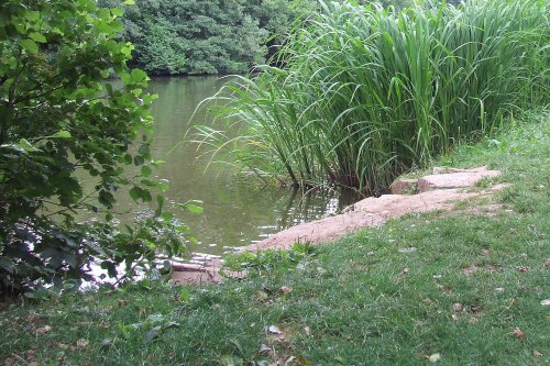 Newent lake and park