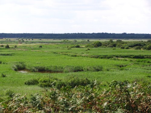 Dunwich Heath, looking towards Sizewell