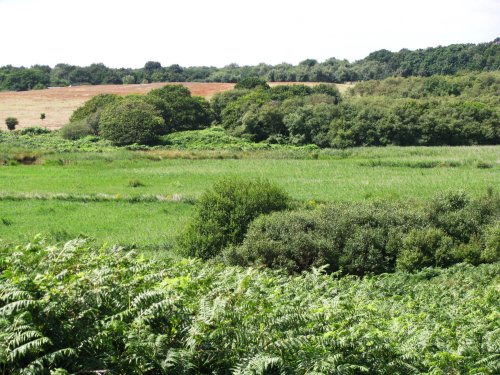 Dunwich Heath, looking towards Sizewell