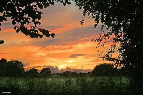 Stour Valley Summer