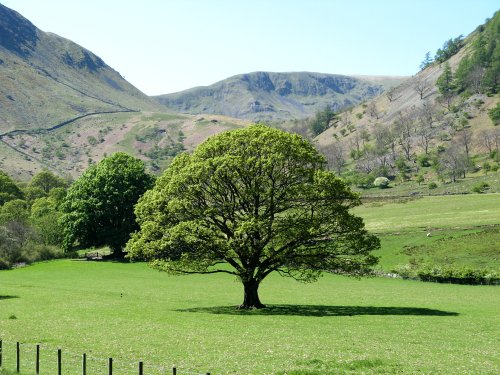 Ullswater near Glencoyne Bay.