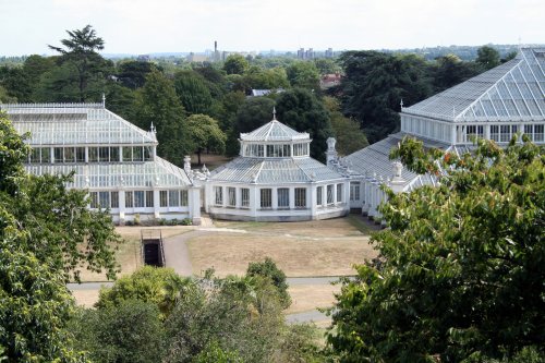 Kew Royal Botanical Gardens, Kew.