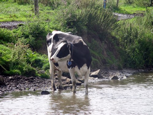 Leeds to Liverpool Canal