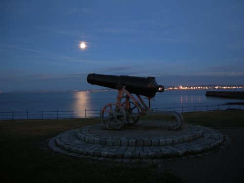 Cannon in the moonlight