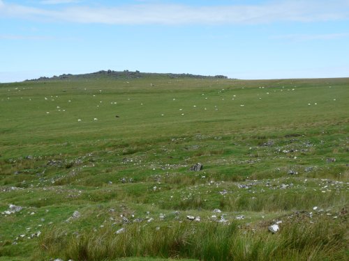 Dartmoor, Devon