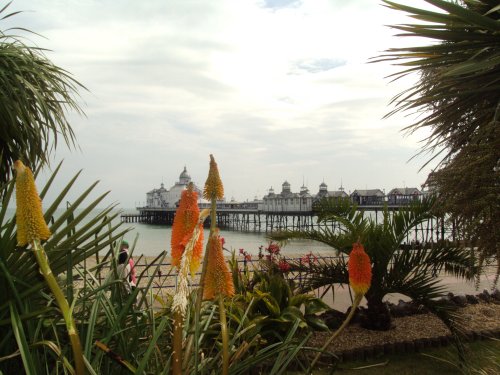 View of Pier