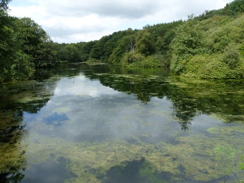 Otterhead lakes