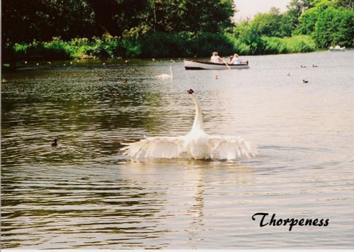 On Thorpeness Mere