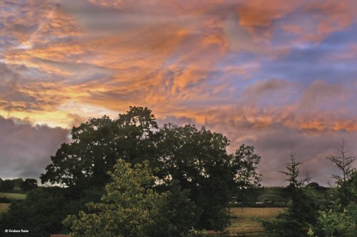 Stour Valley Summer