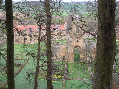 Through the trees on the hillside