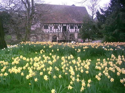 Yorkshire Museum Gardens in bloom !