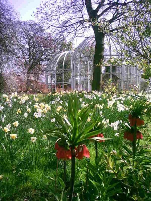 Birmingham Botanical Gardens in Bloom - Part 3