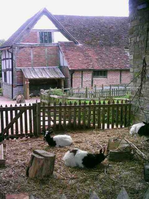 Stratford upon Avon - Mary Arden's Farm - Part 1